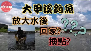 【霞面】大甲溪釣魚｜釣到一半放大水，選擇回家還是賭賭看繼續跟它凹?｜Fishing