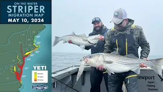 Striper Migration Report | May 10, 2024