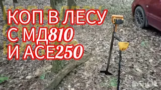 ЛЕСНОЙ КОП С МД810 И КАМРАД С ACE250