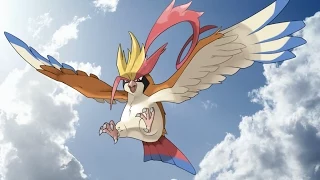 Pokemon Omega Ruby and Alpha Sapphire How to get Pidgeotite