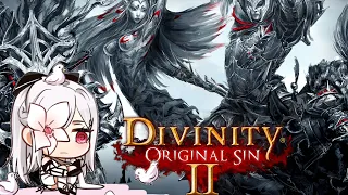 Killing everything in Divinity Original Sin 2