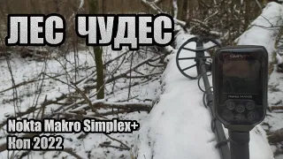 Откуда она здесь? МОНЕТА БОСПОРСКОГО ЦАРСТВА. Лесной коп с Nokta Makro Simplex+.  Коп 2022