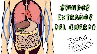 EL CUERPO Y SUS SONIDOS EXTRAÑOS | Draw My Life