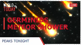 Geminid Meteor Shower