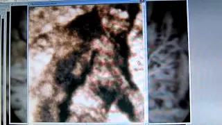 M.K.Davis Discusses a Mysterious Object in the Patterson Bigfoot Film.