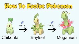 How To Evolve Pokémon - Generation 2 Johto (Animated Sprites)