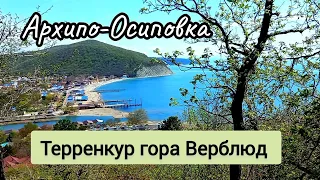 Архипо - Осиповка. Поход на гору Верблюд. Апрель 2024 года.