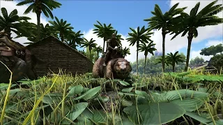 ARK: Survival Evolved - Уроки выживания.Урок 6. Бобер - наше все!