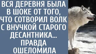 Вся деревня была в шоке от того, что сотворил волк с внучкой старого десантника… Правда ошеломила