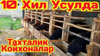 КОЙ БОКИШ СИРЛАРИ ТАХТАЛИК КОЙХОНАЛАР ОХХИРГАЧА КОРИНГ