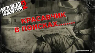 Red Dead Redemption 2 Красавчик в поисках!