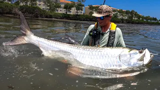 Sight Fishing Giant Tarpon! (Off a Kayak!)