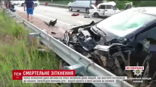 Дві автівки зіштовхнулися на трасі у Житомирській області, є загиблі