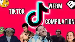 ЛУЧШИЕ МЕМЫ ИЗ ТИКТОК // TIKTOK WEBM COMPILATION 93