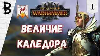 Total War: Warhammer 3: Immortal Empires Имрик, Рыцари Каледора #1 "Величие Каледора"