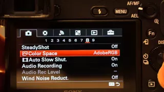 Sony A6300 Custom Settings for Shooting Sports