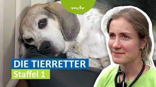 Die Tierretter - Staffel 1 | MDR