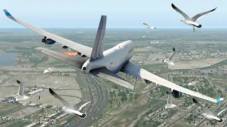 Boeing 747 Crashed Into A Flock Of Birds Right After Take Off | XP11