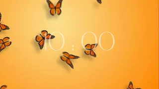 10 minutes timer with Butterflies with an Alarm and Lofi Music