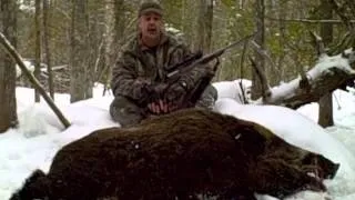 Russian Boar Hunting with Big Bill - Monster Cutters