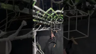 Manik Paul | Aerial Cube Act | Manik Paul Aerial Arts | O Re Piya Song