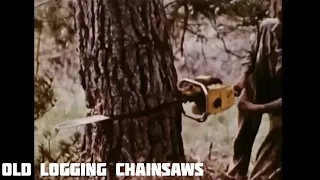 Old Logging Chainsaws