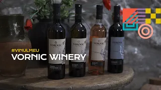 VinulMeu. Vornic Winery