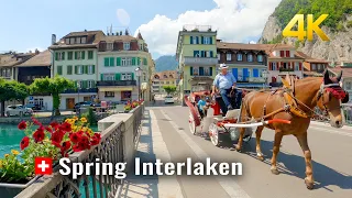 Interlaken Spring 🇨🇭 Switzerland, the magnificent blooms of spring, the city between two lakes