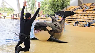 Adán & David 🫶🏽 Loro Parque, OrcaOcean, 28.03.2024