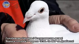 Выпустим голубей за МИР на Донбассе!
