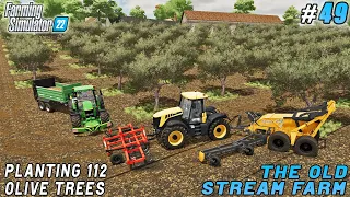 Field preparation & planting 112 olive trees | The Old Stream Farm | Farming simulator 22 | ep #49