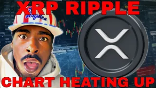 "XRP IS THE NEXT BTC" SAYS RIPPLE CEO 👀 TIME TO PACK SOME BAGS 💰