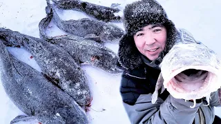 ПРОВЕРКА ПЕРЕМЁТА! НОВЫЙ РЕКОРД ПО НАЛИМУ!!!