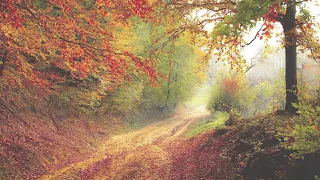 Top 10 Most Beautiful Natural Landscapes in Germany