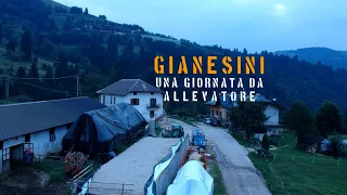 Gianesini - UNA GIORNATA DA ALLEVATORE