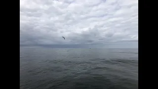 Afscheid op zee per schip vanuit IJmuiden 10-9-2020