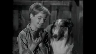 Lassie - Episode 29 - "The Kittens" (Season 2, #3 - 09/25/1955)