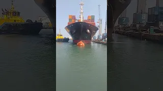 todo lo que se tiene que hacer para que un buque salga del muelle