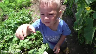 В огороде!/Помечтали))/Где будем хранить запасы?/Семья Жуковых 03.08.2018