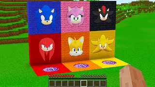 SURVIVAL IN ROUND PITS WITH SONIC! SUPER SONIC! SHADOW SONIC! KNUCKLES! AMY ROSE! TAILS in Minecraft