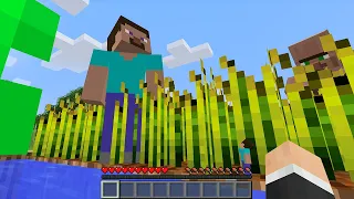 So I secretly was ᵗᶦⁿʸ in Minecraft HIDE & SEEK...