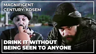 Sultan Murad Catches A Drunk Wanderind The Streets | Magnificent Century: Kosem