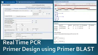 Primer designing for real time PCR using NCBI Primer Blast