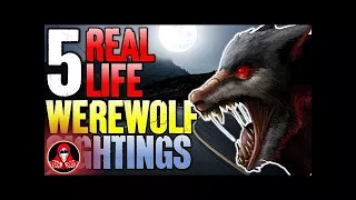 5 Real Life Werewolf Sightings! - Darkness Prevails