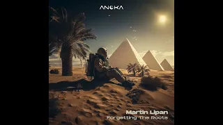 Martin Lipan - Forgetting the Roots