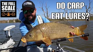 Do Carp Eat Lures? | The Full Scale