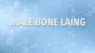 Male Bone Laing - Holy Flesh