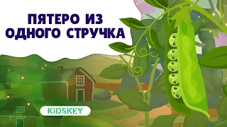 Пятеро из одного стручка | Аудиосказка | Слушать сказку на ночь