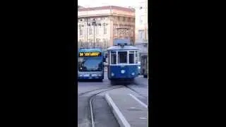 Tram Trieste P8251894