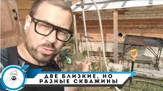 Абиссинская двойня // разный разрез на небольшом удалении